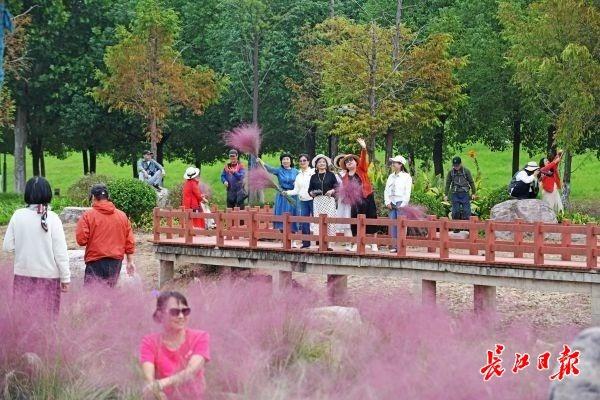 武昌江滩邂逅秋日浪漫