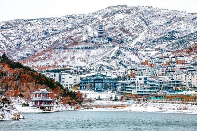 温泉袅袅、候鸟翩翩、冰雪灼灼——这个冬天，齐鲁大地邀你来场“冷”与“暖”的双重奔赴