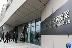 高质量发展调研行｜湖南：努力打造国家种业创新高地图片