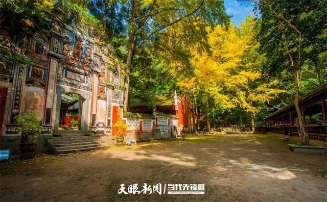 黄平开通“杏运”主题公交 邀您共赴飞云崖“金色秘境”