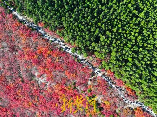 半山苍翠半山红！济南“鸳鸯火锅”惊艳上线 | 新黄河AI音乐