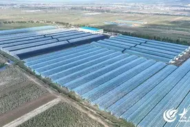 【万亿新篇·烟台镇好】留格庄镇：振兴路上产业兴、百姓富、生态美图片