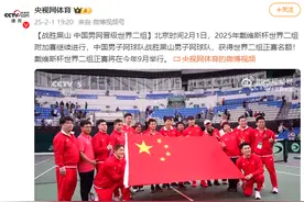 战胜黑山 中国男网获戴维斯杯世界二组正赛名额图片