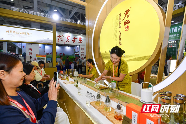 周末趣湖南｜湘超燃爆初秋，逛展品茶游古城解锁N种玩法