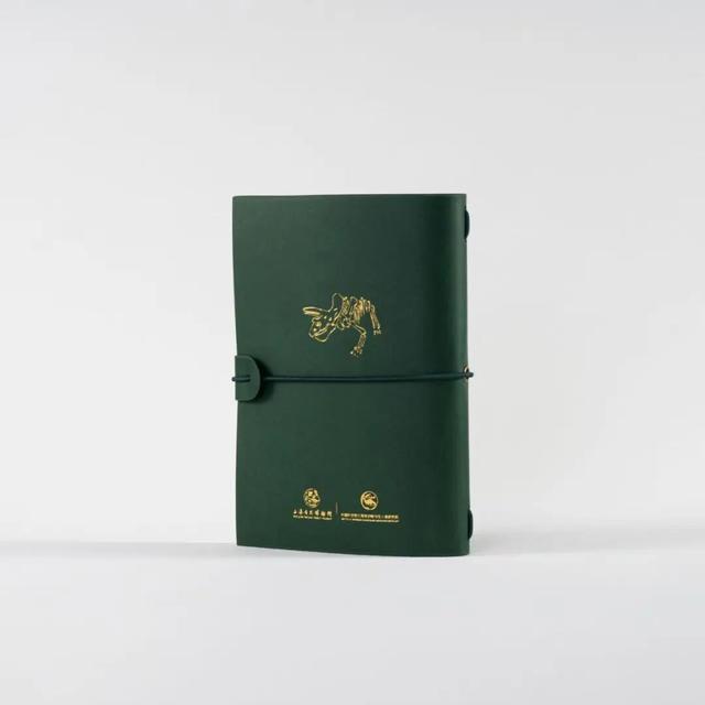 开学第一课｜来上海自然博物馆看恐龙大展，解锁超酷文创！