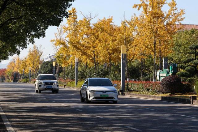 福建武夷山：车在路上行 人在画中游