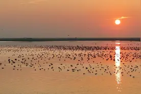 江西永修：发展“候鸟经济” 助推村民增收图片