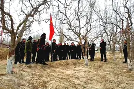 若羌：做强红枣产业 为经济高质量发展赋能“加码”图片