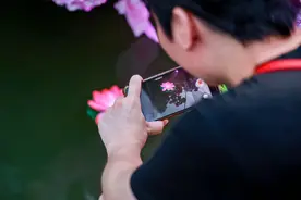 七月七花巧集，到千年花地过浪漫七夕之夜图片