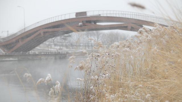 清河之洲，在河之洲看雪景！