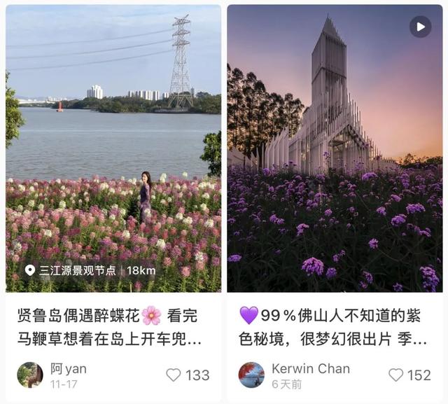 全网爆火！被里水这座浪漫岛屿惊艳到了！游玩攻略→