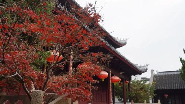崇明，把风雅“亭”在了时光里
