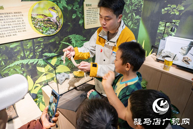 驻马店市科技馆：“双节”科普活动吸引上万人参与 沉浸式体验激发青少年科学热情​​