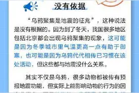 乌鸦聚集就说明要地震了吗？图片