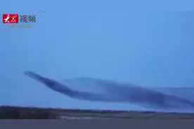 山东邂逅美｜观鸟大季来了！黄河口“鸟浪”奇观看了终生难忘图片