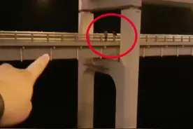 情况危急！跨海大桥护栏外，一对夫妻摇摇欲坠……图片
