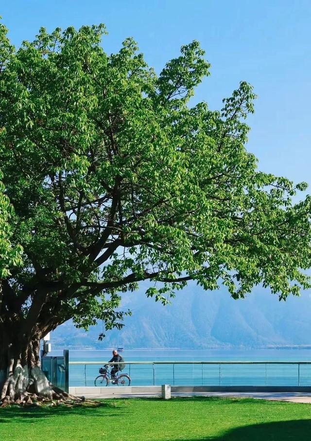 【五彩凉山•夏季清凉】人这一辈子，一定要去一次最“火”的节日！
