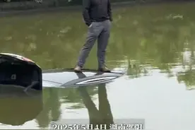 “淡定哥”驾车冲入鱼塘，双手插兜等救援图片