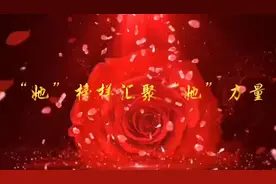博览视频丨“她”榜样汇聚“她”力量图片