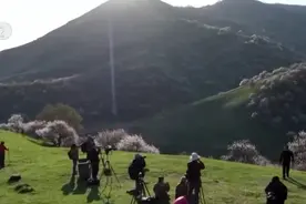 “赏花经济”持续释放消费潜力 绘就“花开中国”的繁荣图景图片