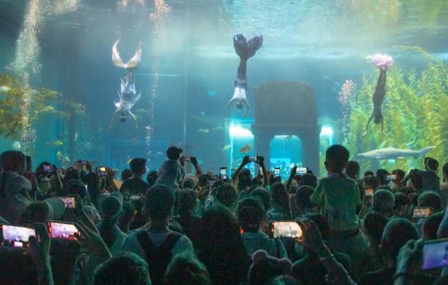 桂林融创乐园海世界，这样玩！