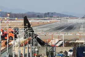 五问韩国客机事故，多位专家质疑：最后四分钟究竟发生了啥？或经历一系列致命故障图片