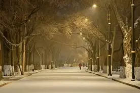 冰城下雪迎“大雪”｜哈尔滨市发布道路冰雪黄色预警图片