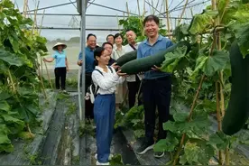 对华科技合作成东盟发展“最强助攻”图片