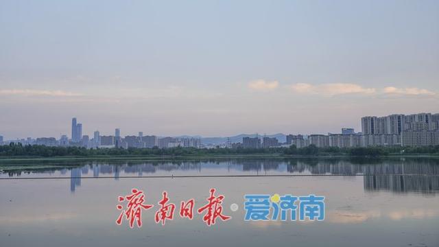 一年四季 泉在济南丨水清岸绿、草木葱茏！初秋华山湖畔诗意浓