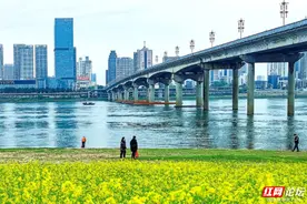 三十年前后湘江株洲段照片对比：株洲湘江风光带已成城区守护堤图片