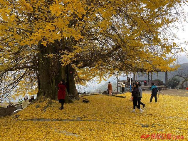 世界那么大好想去怀化|鹤城区城郊文旅“热度”不减