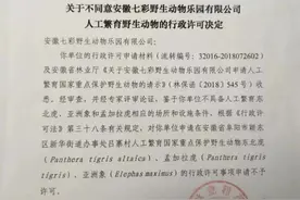 多只动物非正常死亡，阜阳野生动物园闭园三天，园方已成老赖图片