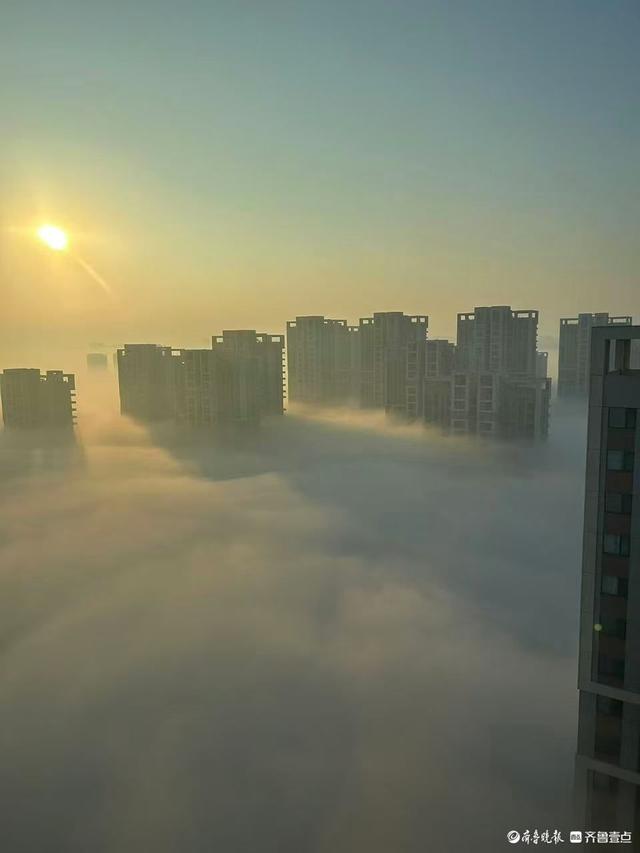 邹平雾气缭绕，宛如仙境