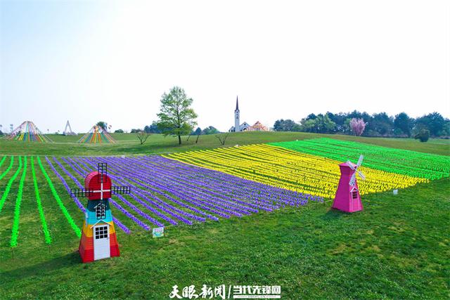 凉爽气候+民宿升级 贵安圈粉银发旅居客