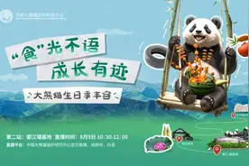 “美香”“添添”等参加大熊猫生日季丰容活动图片