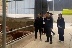 工行定西分行发放“养殖e贷”精准助力养殖领域产业发展图片