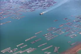 海洋牧场 冬景如画图片