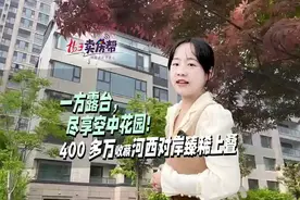 一方露台，尽享空中花园！400多万收藏河西对岸臻稀上叠图片