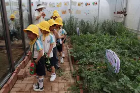 小学是怎样的？幼儿园小朋友一日体验颇有收获图片