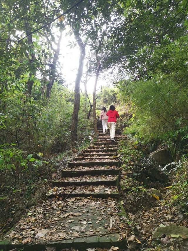 晚潮｜探秘湖州南宋古道：穿越千年与历史对话