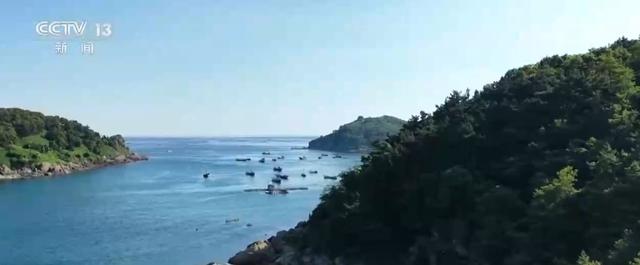 新赛道、新场景激活海岛旅游新活力 这份暑期深度玩海攻略请收好