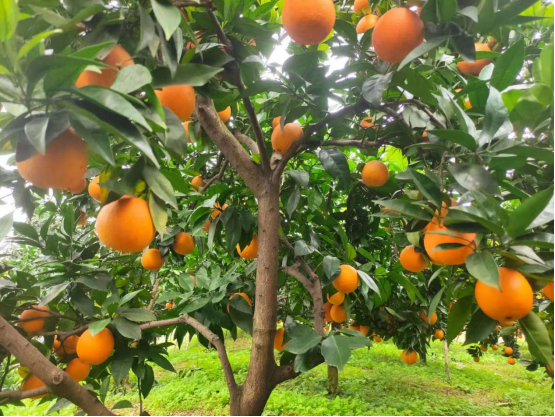 永川“留娃”去处上新→