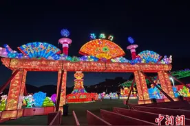 一名护工的逆袭之路：马金莲代表的乡村“共富经”图片