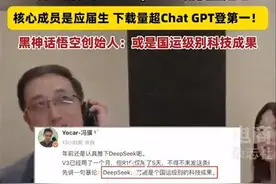 DeepSeek一鸣惊人，又一次厚积薄发的中国式奇迹图片
