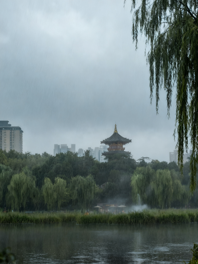 周末必打卡！西安4个雨天氛围感公园→