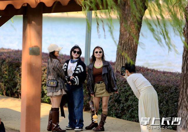 气温回升秋阳灿烂，湖南烈士公园成市民赏秋好去处｜组图