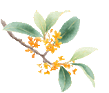 赶紧吸！绍兴，好香甜！