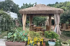 “方寸地”变“创收园”！济南80后爆改“老家”，废弃小院变网红打卡地图片