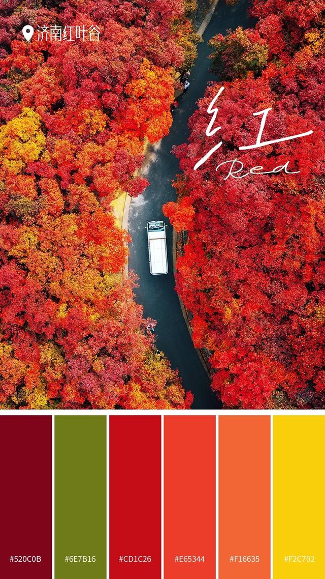 山东秋天的限定「色卡」，你集齐了吗？