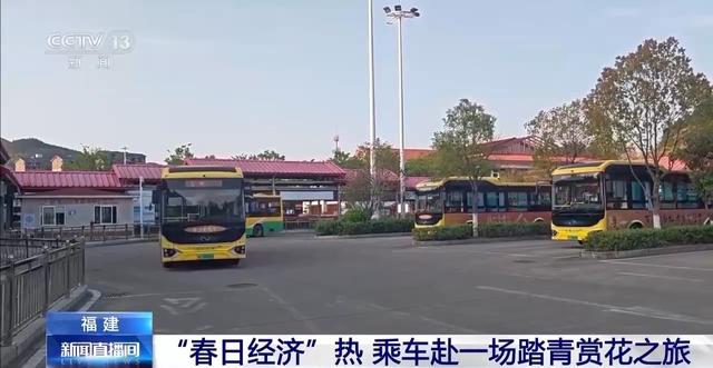 各地春日赏花有哪些好去处？请看这份赏花攻略